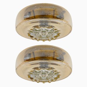 Amber Gold Wall Lamps / Flush Mounts, 1960s, Set of 2-KQB-1818309