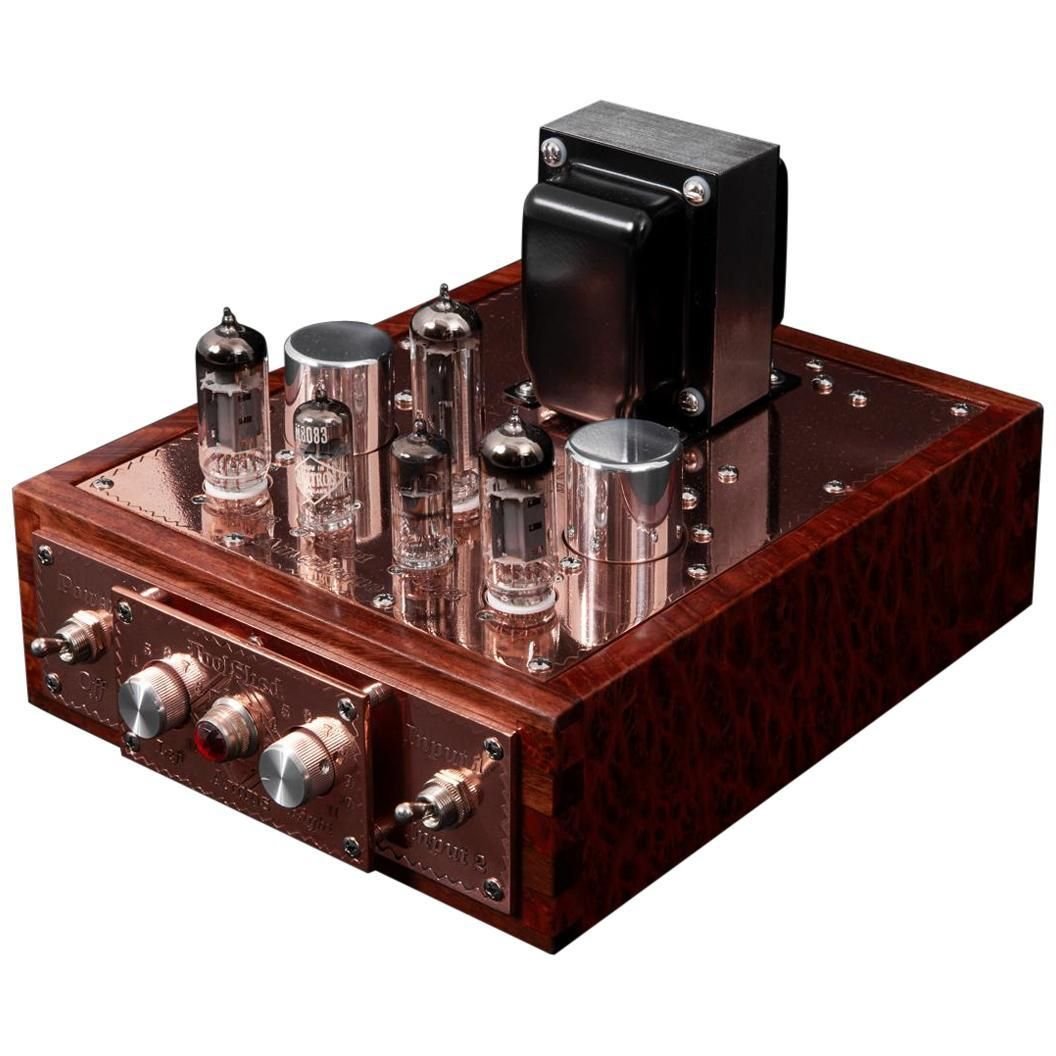 Americano Single-Ended Stereo Amp by Toolshed Amps for Original in Berlin