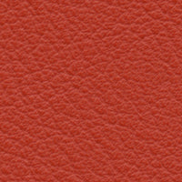 Anata Beccorosso (RA1808)