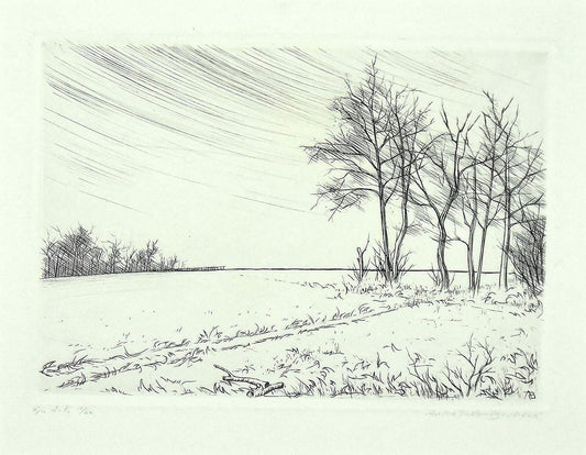 André Roland Brudieux, Landscape, Etching, 1970s