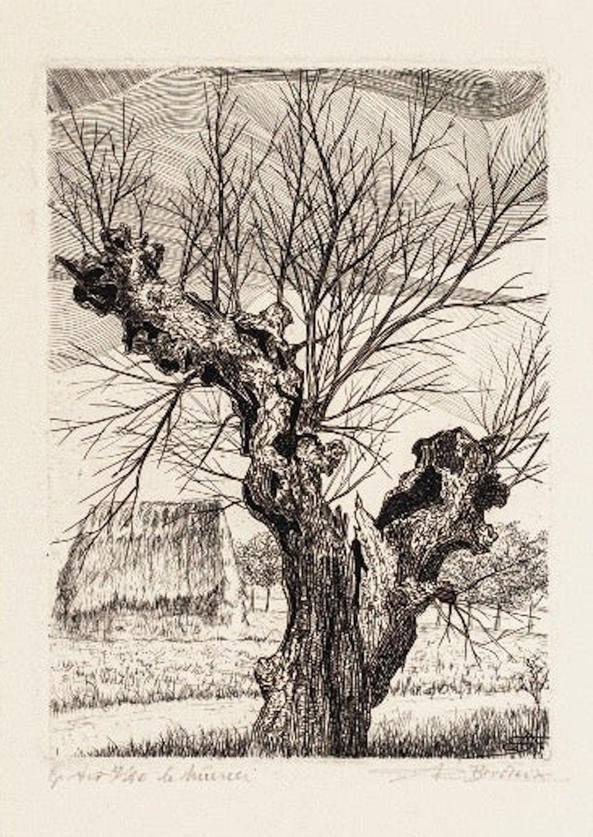 André Roland Brudieux - The Oak - Etching - 1960s