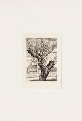 André Roland Brudieux - The Oak - Etching - 1960s-ZCI-850652