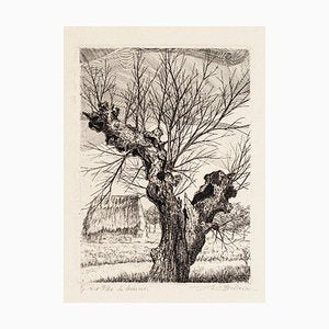 André Roland Brudieux - The Oak - Etching - 1960s-ZCI-850652