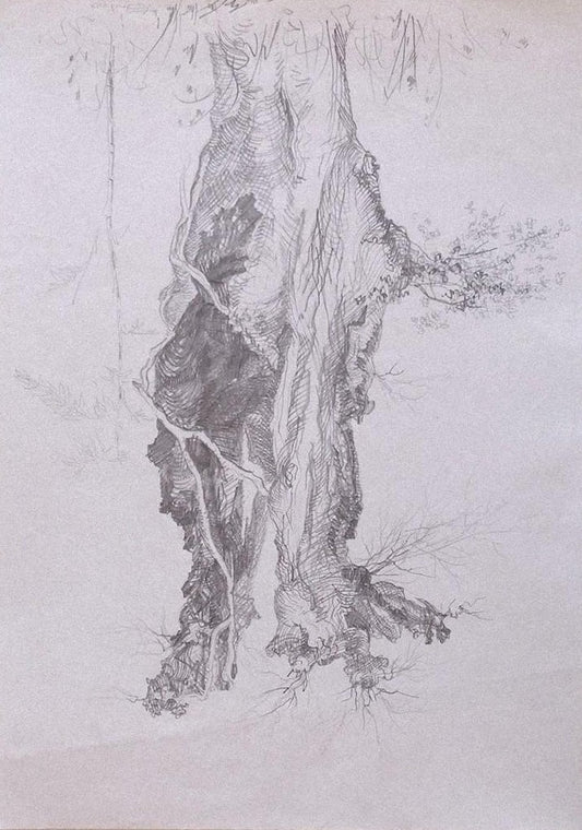 André Roland Brudieux, Tree, Original Pencil Drawing, 1970s