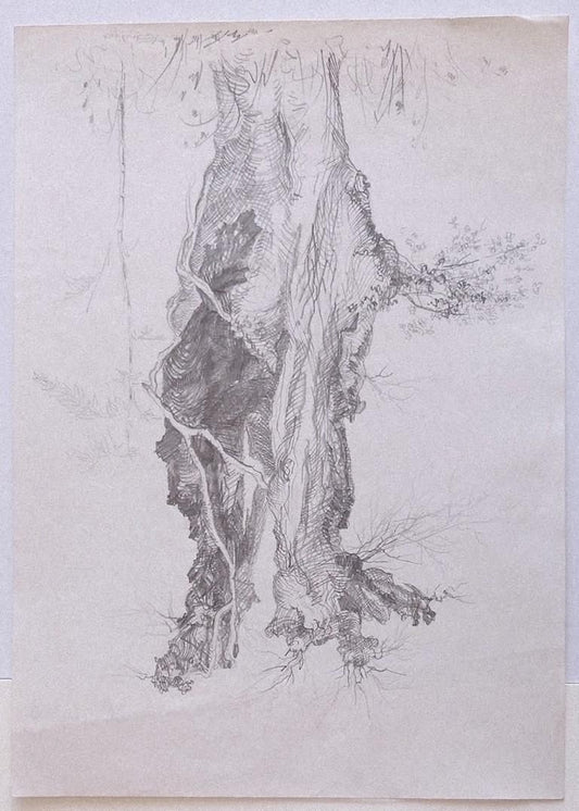 André Roland Brudieux, Tree, Pencil Drawing, 1970s