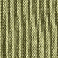 Celery 122-5019