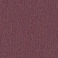 Raspberry 122-2016