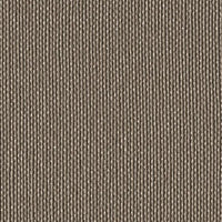 122-4012 SHIITAKE