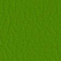 Apfel 107-5041