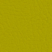 Avocado 107-2110