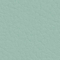 Coral 107-2106