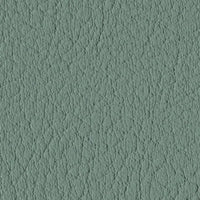 Eucalyptus 107-6438