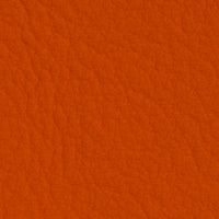 Naranja 107-6019