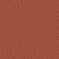 Nectarine 107-6003