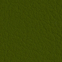 Olive 107-5001