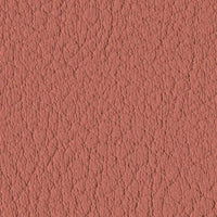 Peach 107-9245