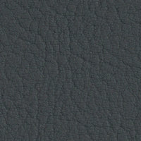 Platin 107-4043