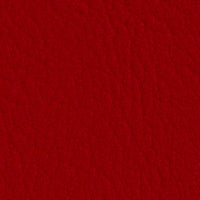Rot 107-2075