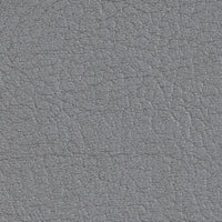 Silver 107-4020