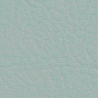 Skylight 107-2107