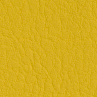 Sonne 107-2020