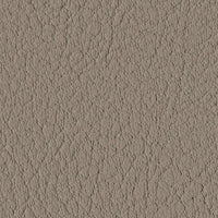 Taupe 107-0034