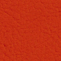 Tomato 107-2112