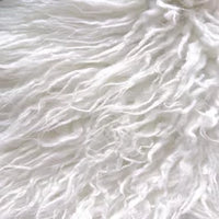 Angora White