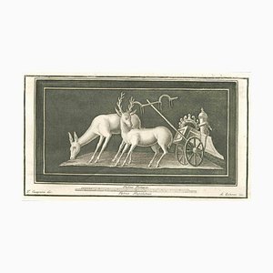 Aniello Cataneo, Animals Pompeian Fresco, 18th Century, Etching-ZCI-1781801