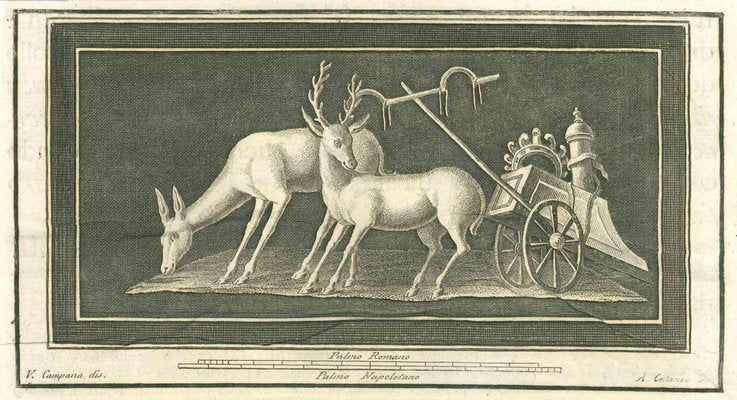 Aniello Cataneo, Animals Pompeian Fresco, Etching, 18th Century-ZCI-2029184