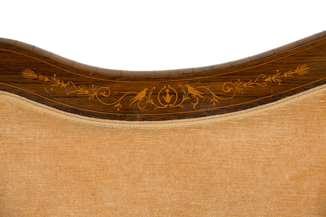 Anique French Sofa in Exotic Wood and Maple, 1800s