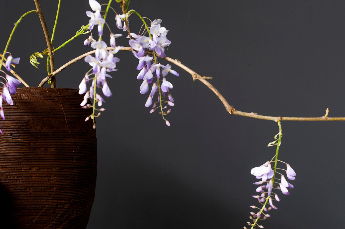 Anni L Rust Cypress Vase by Massimo Barbierato for Hands on Design