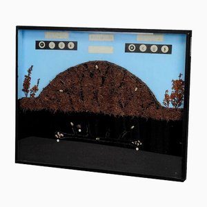 Anthill of the Horse Ant School Teaching Display-KJP-1149133