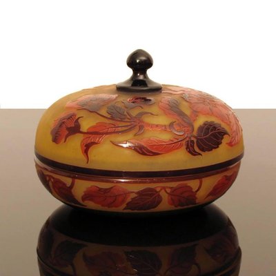 Antique Art Nouveau Cameo Glass Box by D'Argental-YGE-590371