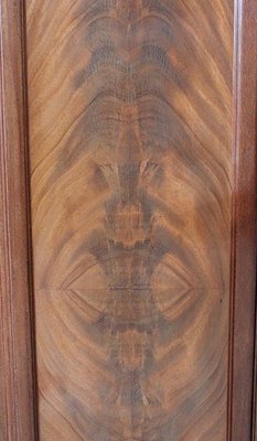 Antique Art Nouveau Mahogany Cabinet, 1900s-RVK-683489