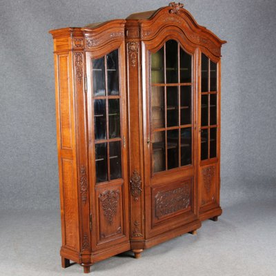 Antique Baroque Oak 3-Door Display Case with Carvings, Aachen Lüttich, 19th Century-DXD-1148204