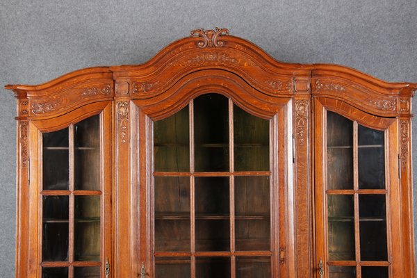 Antique Baroque Oak 3-Door Display Case with Carvings, Aachen Lüttich, 19th Century-DXD-1148204