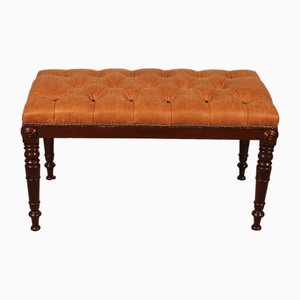 Antique Bench in Mahogany-HPU-2035487