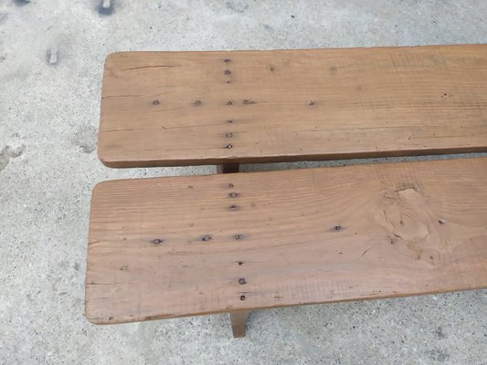 Antique Benches, Set of 2-EAD-704025