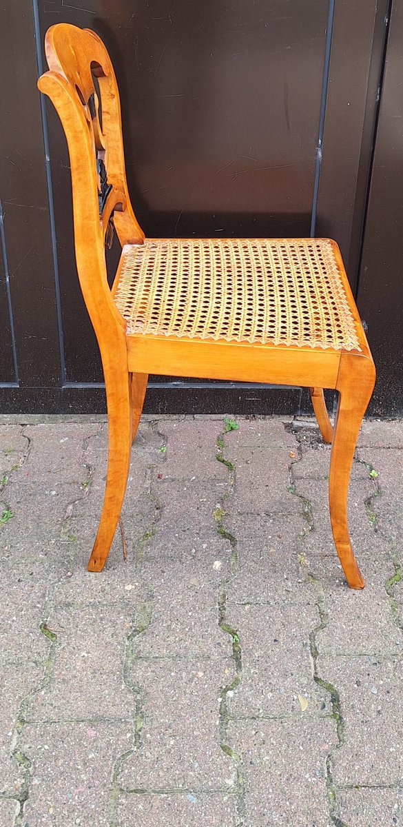 Antique Biedermeier Chair in Yellow-Brown Maple with Ebonized Elements, Lyre Motif and Seat Weave, 1830s