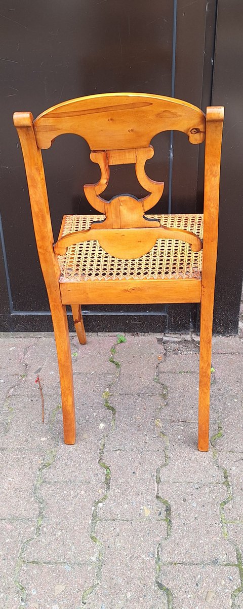 Antique Biedermeier Chair in Yellow-Brown Maple with Ebonized Elements, Lyre Motif and Seat Weave, 1830s