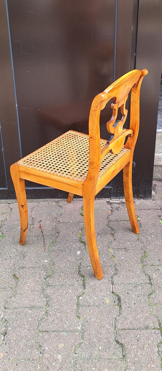 Antique Biedermeier Chair in Yellow-Brown Maple with Ebonized Elements, Lyre Motif and Seat Weave, 1830s