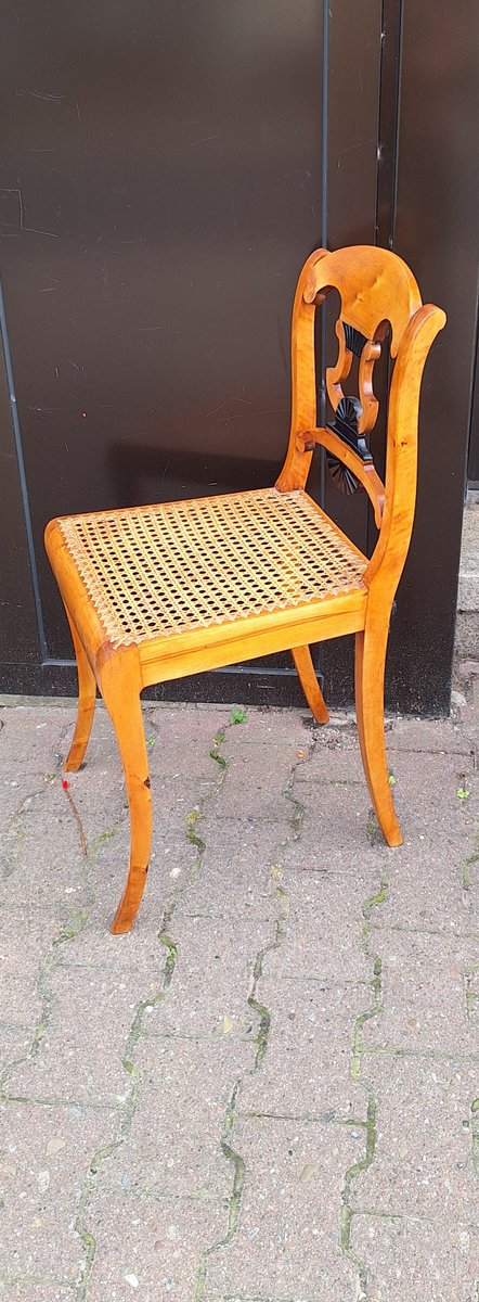 Antique Biedermeier Chair in Yellow-Brown Maple with Ebonized Elements, Lyre Motif and Seat Weave, 1830s