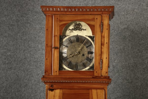 Antique Biedermeier Grandfather Clock in Cherry Tree, 19th Century-DXD-2021420