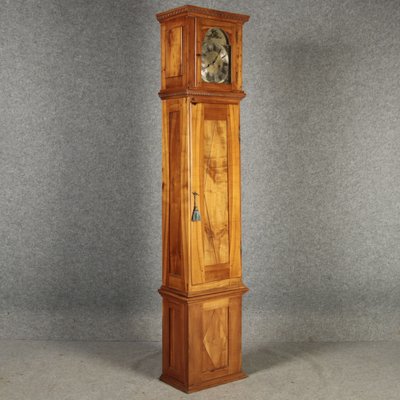 Antique Biedermeier Grandfather Clock in Cherry Tree, 19th Century-DXD-2021420