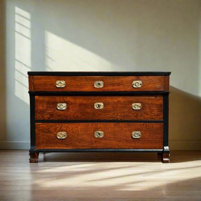 Antique Biedermeier Oak Chest of Drawers, 1820s-ALF-2033618