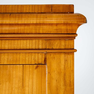 Antique Biedermeier Wardrobe, 1830-VEI-2022814