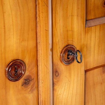 Antique Biedermeier Wardrobe, 1830-VEI-2022814