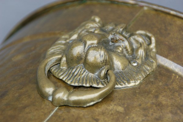 Antique Brass with Lion Heads Flowerpot-DUM-1155177