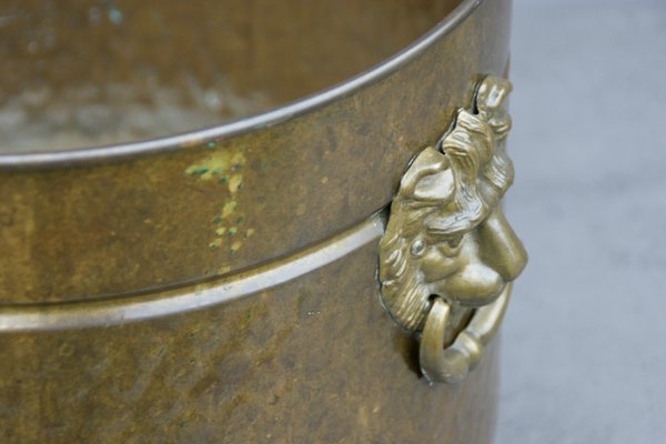 Antique Brass with Lion Heads Flowerpot-DUM-1155177